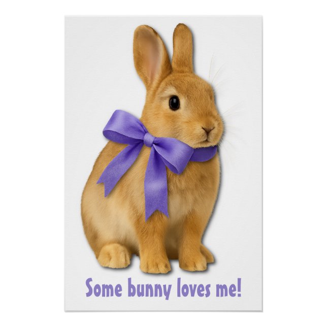 Ein Hase liebt mich! Poster (Vorderseite)