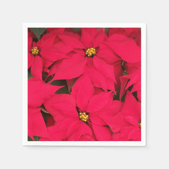 Ein Haufen farbenfroher Weihnachtspoinsettias Serviette (Vorderseite)
