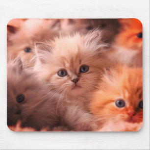 Ein Haufen süßer Kätzchen auf einem Laptop-Desktop Mousepad