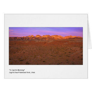 "Ein Hauptstadts-Morgen "