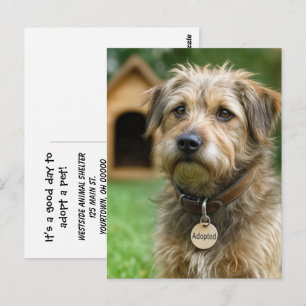 Ein Haustier adoptieren  Postkarte