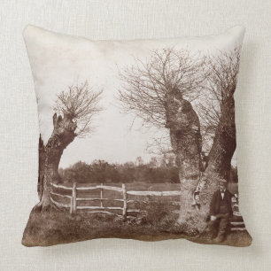 Ein hedgerow-Baum, 1852 (Albumendruck) Kissen