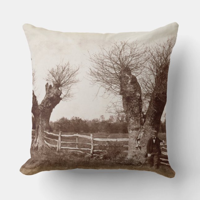 Ein hedgerow-Baum, 1852 (Albumendruck) Kissen (Vorderseite)