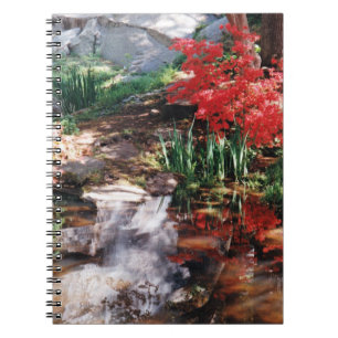 Ein Heilplatz Notizblock