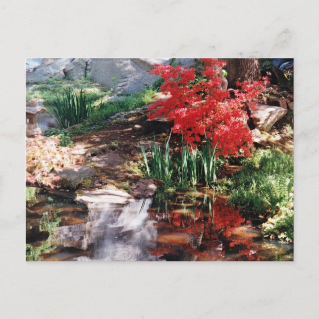 Ein Heilplatz Postkarte (Vorderseite)