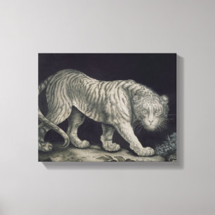 Ein herumstreichender Tiger (Bleistift auf Papier) Leinwanddruck