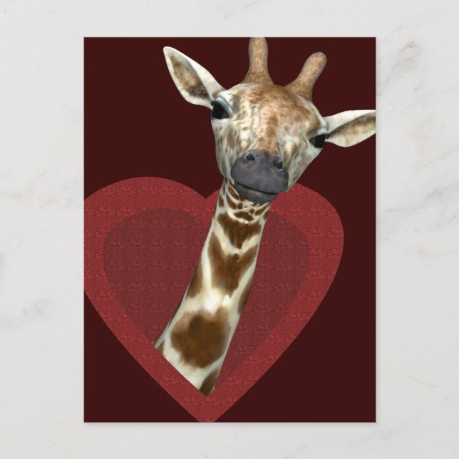Ein Herz für Giraffen Postkarte (Vorderseite)