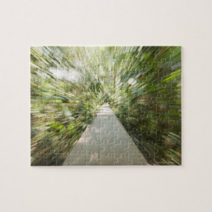 Ein hölzerner Weg durch den Regenwald, in