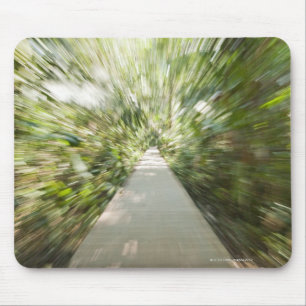 Ein hölzerner Weg durch den Regenwald, in Mousepad