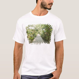 Ein hölzerner Weg durch den Regenwald, in T-Shirt