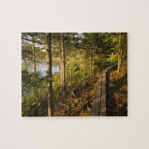 Ein Holzsteg im Acadia National Park Maine