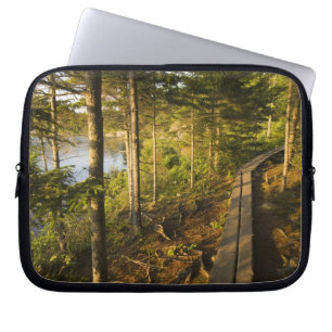 Ein Holzsteg im Acadia National Park Maine Laptopschutzhülle
