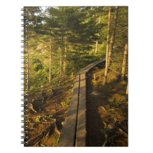 Ein Holzsteg im Acadia National Park Maine Notizblock