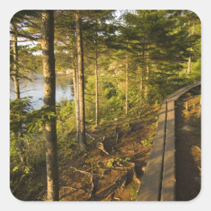 Ein Holzsteg im Acadia National Park Maine Quadratischer Aufkleber