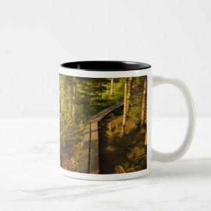 Ein Holzsteg im Acadia National Park Maine Zweifarbige Tasse