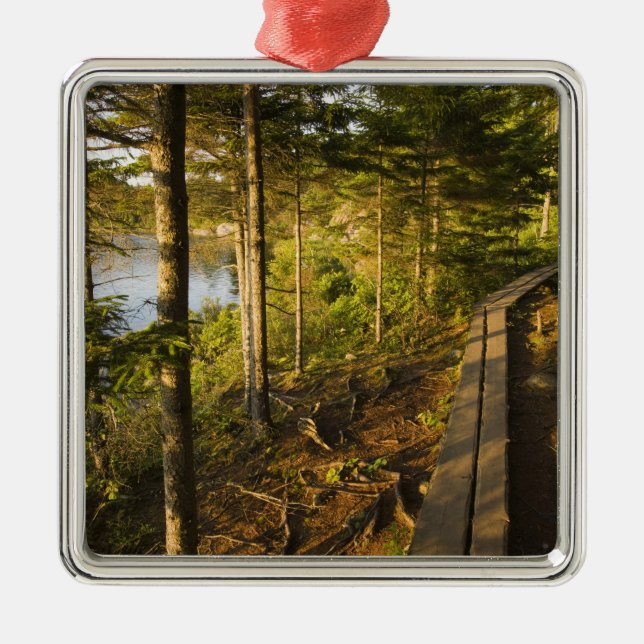 Ein Holzweg über den Acadia Nationalpark Maine Silbernes Ornament (Vorne)