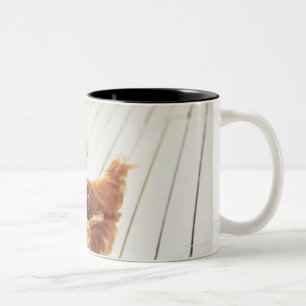 Ein Huhn und zwei Küken auf einem hölzernen Bode Zweifarbige Tasse