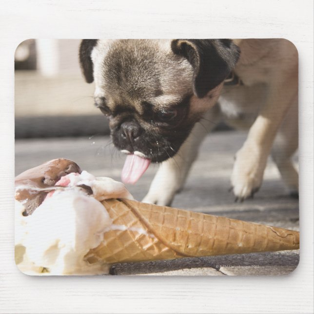 Ein Hund, der ein Eis aus einem Gehsteig isst Mousepad (Vorne)