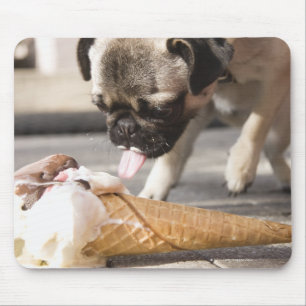 Ein Hund, der eine Eiscreme von einer Plasterung Mousepad
