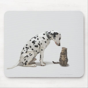 Ein Hund, der eine Katze betrachtet Mousepad