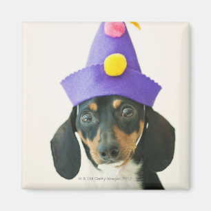 Ein Hund, der einen lustigen Hut trägt Magnet