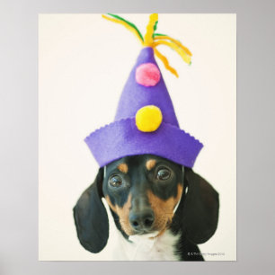 Ein Hund, der einen lustigen Hut trägt Poster