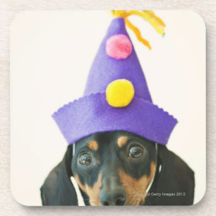 Ein Hund, der einen lustigen Hut trägt Untersetzer