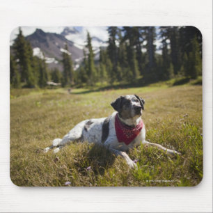 Ein Hund Erholungen nach einer Wanderung zum Jeffe Mousepad