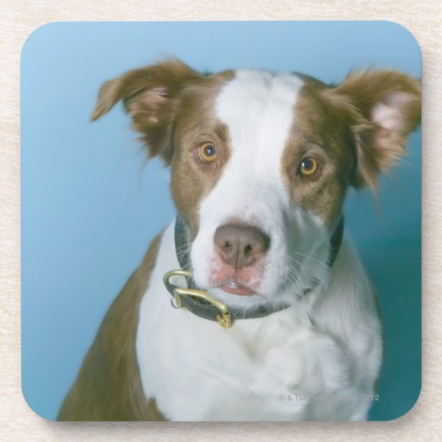 Ein Hund Getränkeuntersetzer (Vorderseite)
