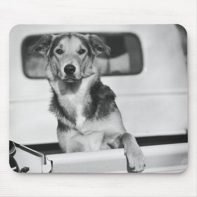 Ein Hund im Auto. Mousepad (Vorne)