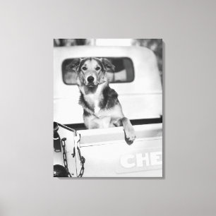 Ein Hund in einem Auto Leinwanddruck