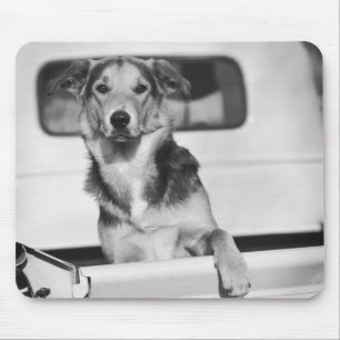 Ein Hund in einem Auto Mousepad