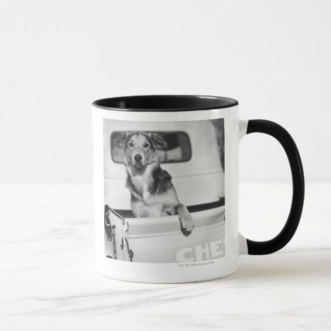 Ein Hund in einem Auto Tasse (Rechts)