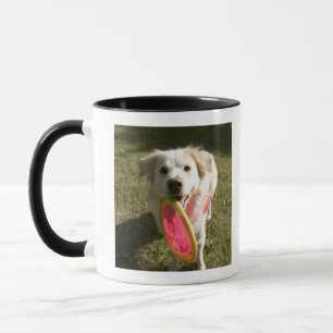 Ein Hund mit einem Frisbee Tasse