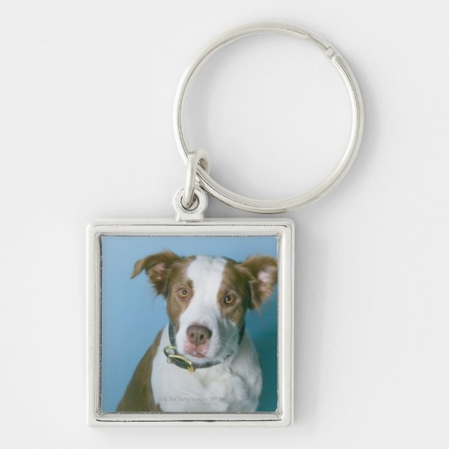 Ein Hund Schlüsselanhänger (Vorne)