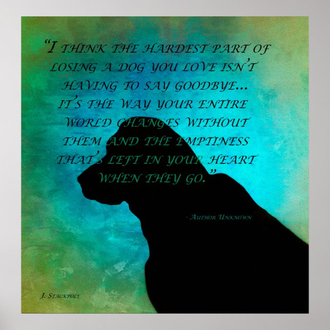 Ein Hund verlieren Poster (Vorne)