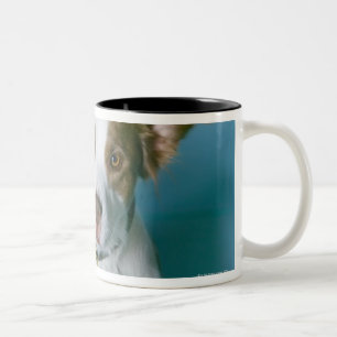 Ein Hund Zweifarbige Tasse