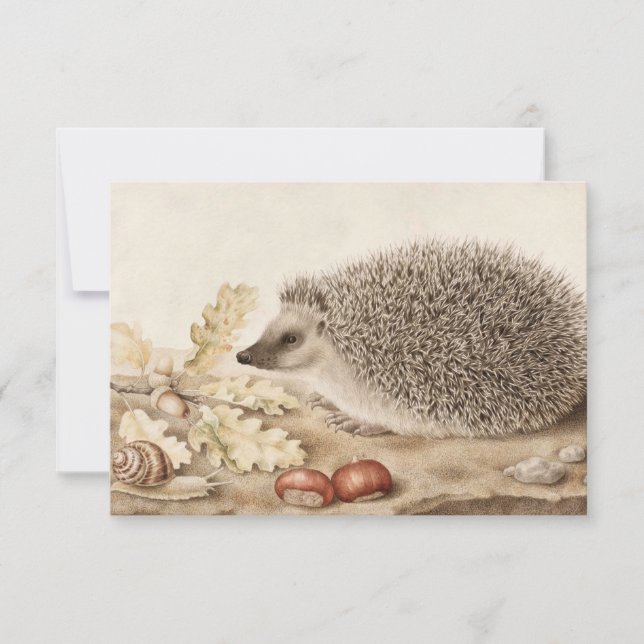 Ein Igel in der Landschaft von Giovanna Garzoni Dankeskarte (Vorderseite)