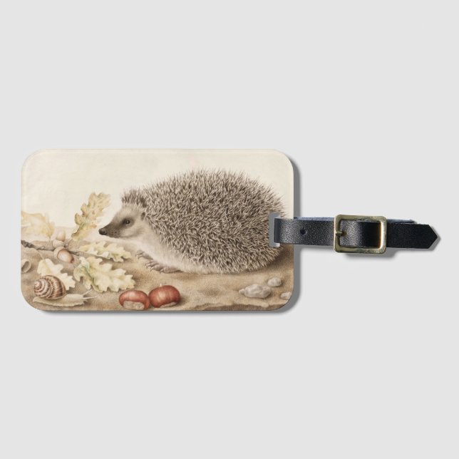 Ein Igel in der Landschaft von Giovanna Garzoni Gepäckanhänger (Vorderseite (Horizontal))