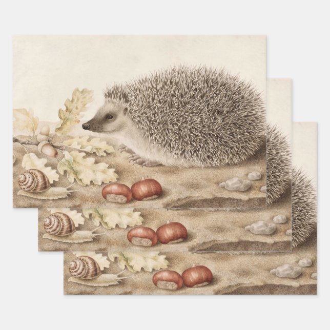 Ein Igel in der Landschaft von Giovanna Garzoni Geschenkpapier Set (Set)