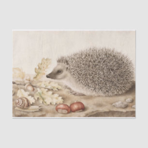 Ein Igel in der Landschaft von Giovanna Garzoni Seidenpapier