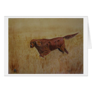 Ein irischer Klassenausflug