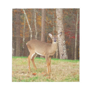 Ein Jägertraum Notizblock