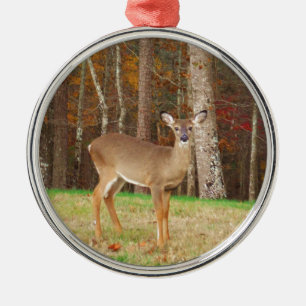 Ein Jägertraum Silbernes Ornament