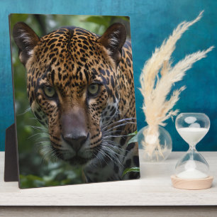 Ein Jaguar stürzt im Wald, Fotoplatte