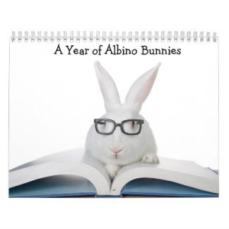 Ein Jahr Albino Bunnies Kalender