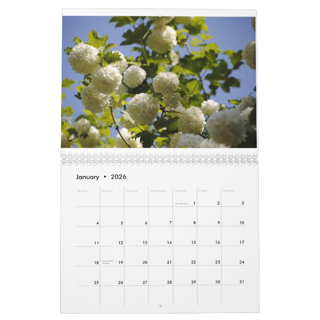 ein Jahr der Blumen Kalender (Jan 2026)