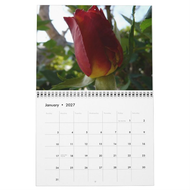 Ein Jahr der Blumen Kalender (Jan 2027)