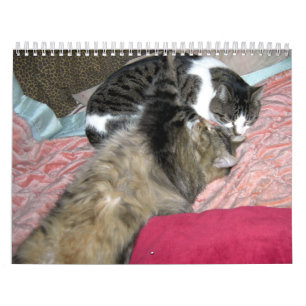 Ein Jahr der Kätzchen Kalender