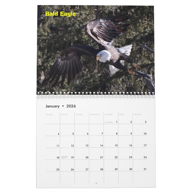 Ein Jahr der Raubvögel Kalender (Jan 2026)